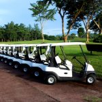 lithium golf cart battry (1)
