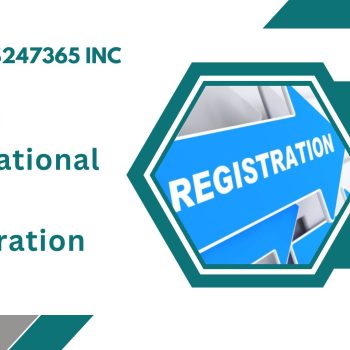online international firm registration