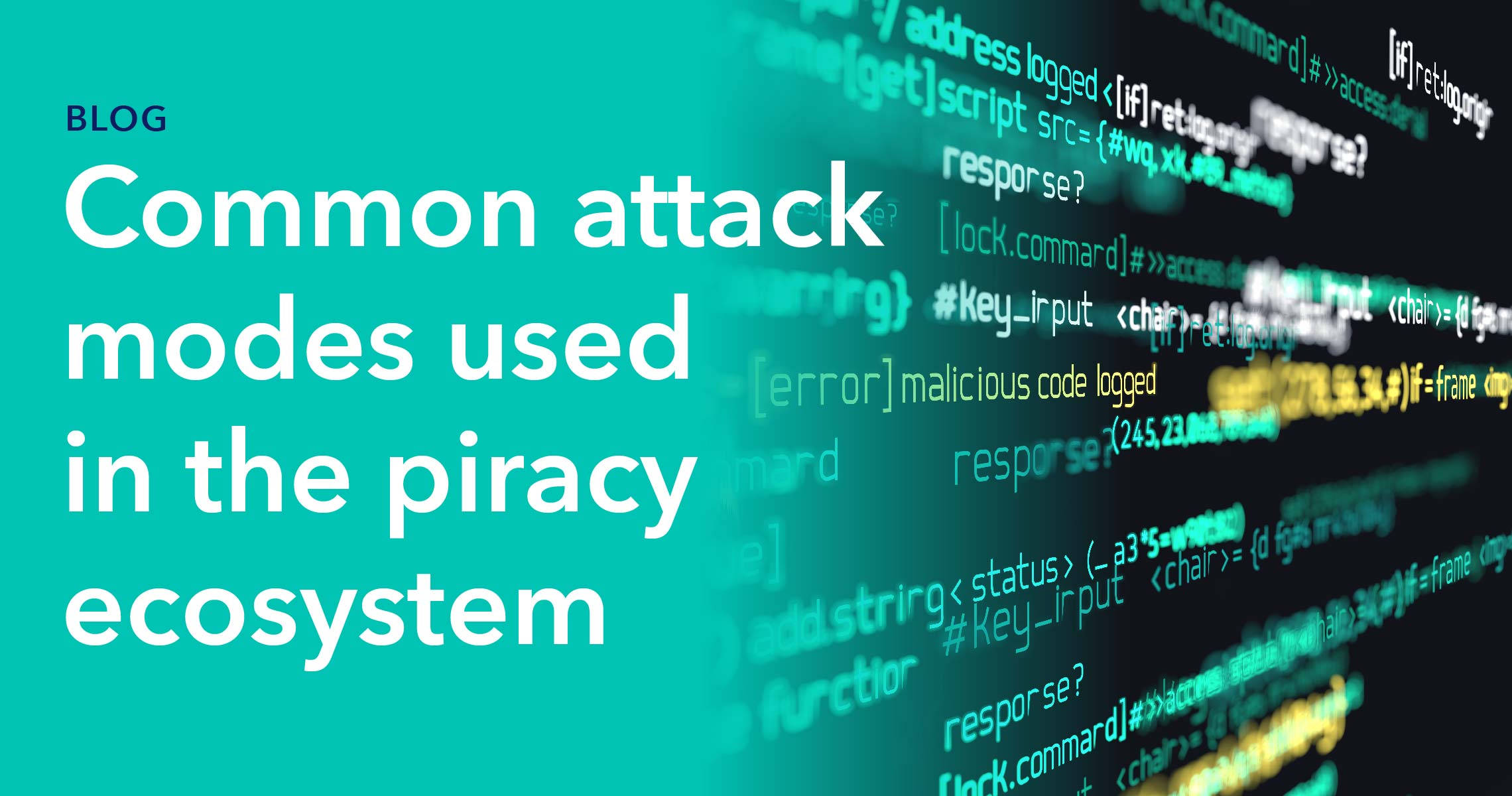 piracy ecosystem
