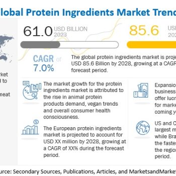 protein-ingredients-market