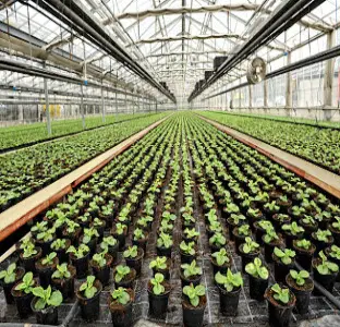 top commercial greenhouse manufacturer