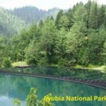 Ayubia National Park - Copy