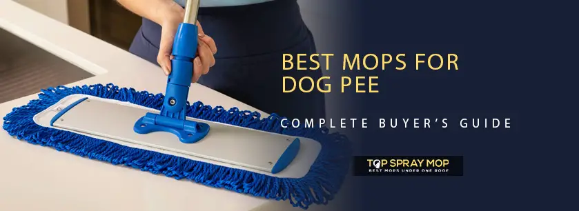 Best-Mops-for-Dog-Pee