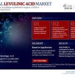 Global-Levulinic-Acid-Market