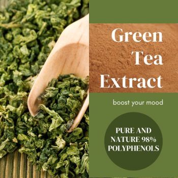 Green-Tea-Extract-98-Polyphenols