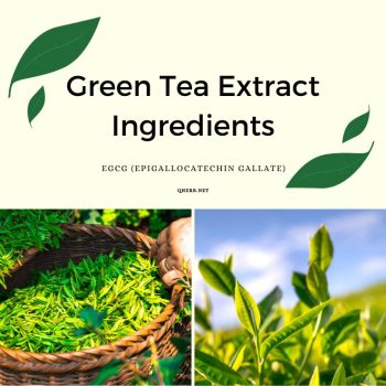 Green-Tea-Extract-Ingredients