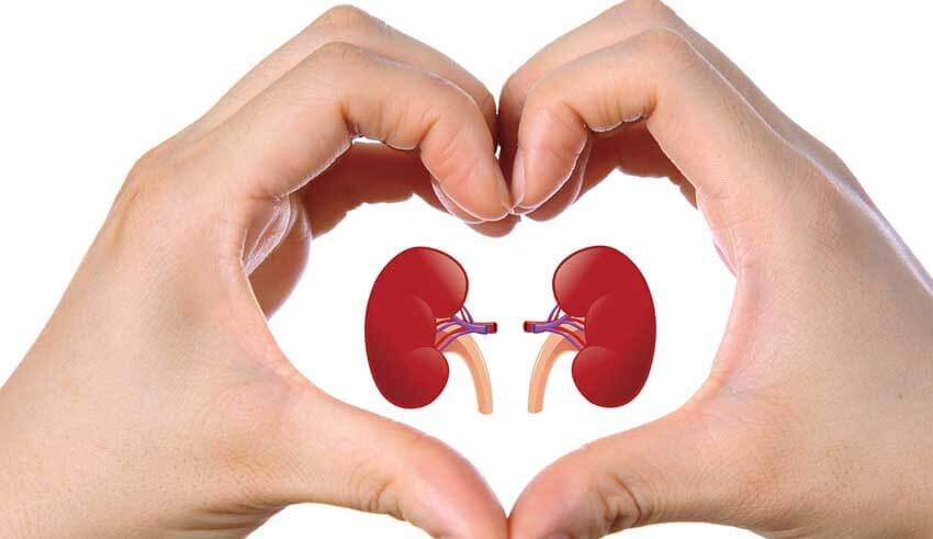 How Can I Heal My Kidneys Naturally
