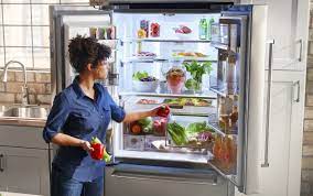 India Refrigerator Market