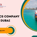 Logistics Company in Dubai (1)