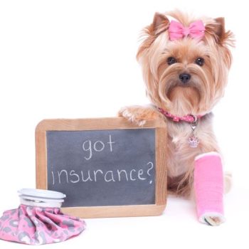 Pet_insurance_SPAH