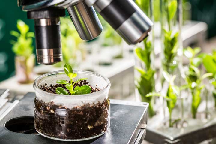 Plant-based Biologics