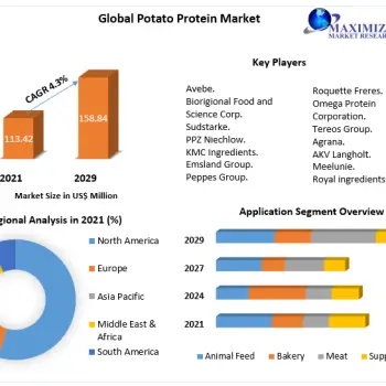 Potato-Protein-Market-2