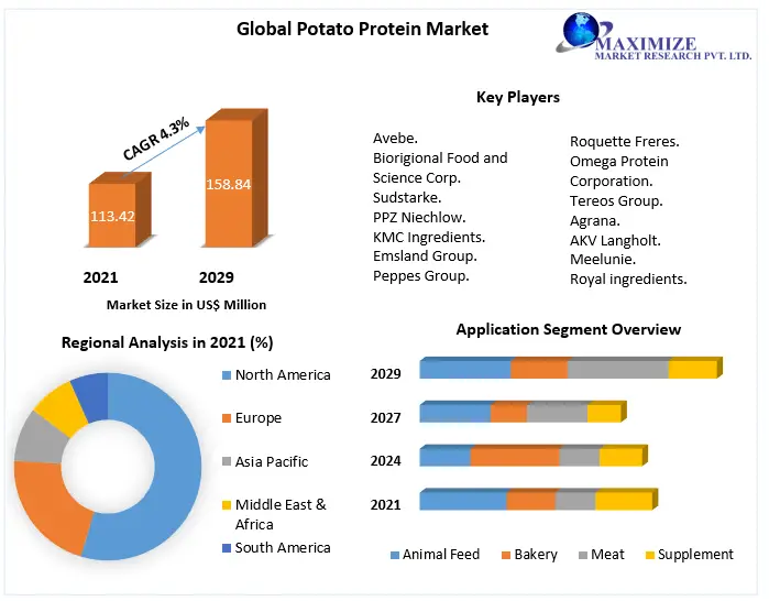 Potato-Protein-Market-2