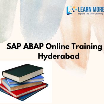 SAP ABAP Online Training in Hyderabad  Learn More IT Solutions