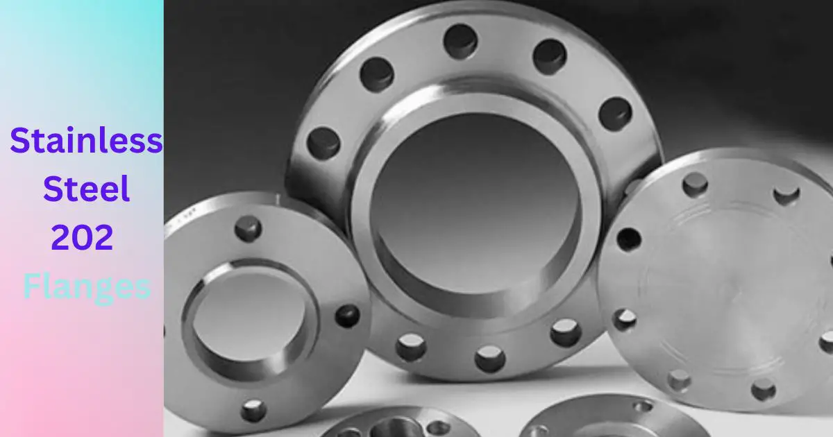SS 202 Flanges