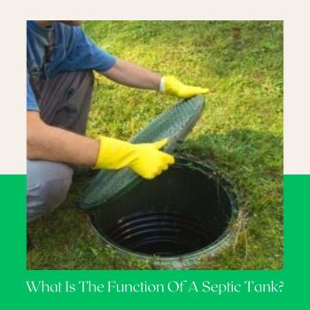 Understanding the Function of a Septic Tank