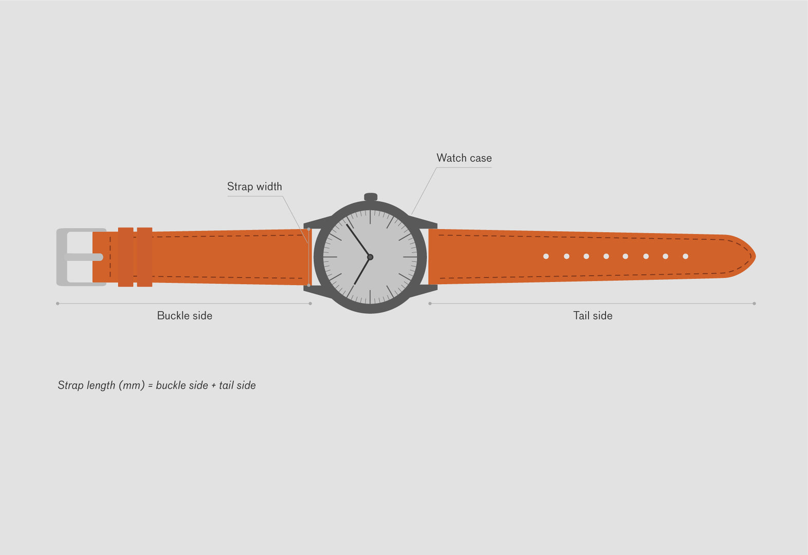 Watch-strap-sizes-illustration_1572x (1)