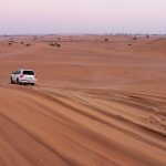 best deals for desert safari dubai