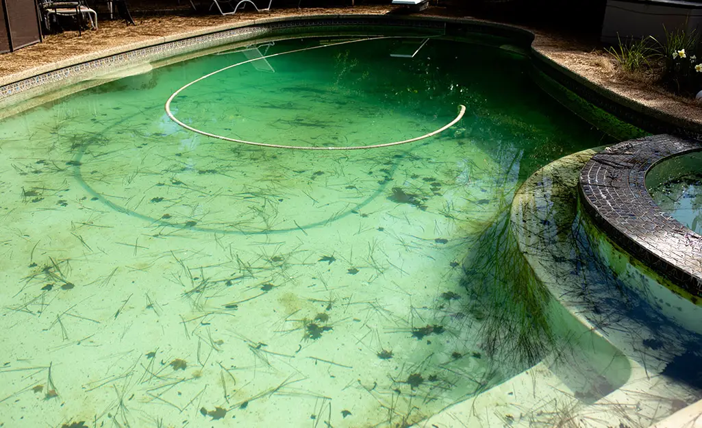 how-to-get-rid-of-algae-in-a-pool-step-3-A