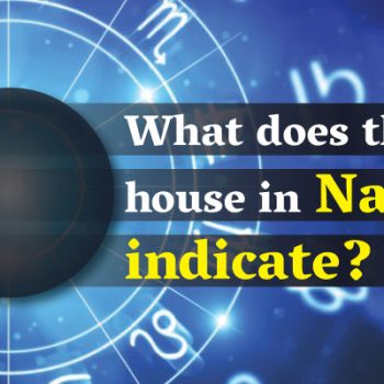10th-house-in-Navamsa-indicate