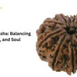11 Mukhi Rudraksha Balancing Mind, Body, and Soul