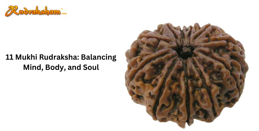 11 Mukhi Rudraksha Balancing Mind, Body, and Soul