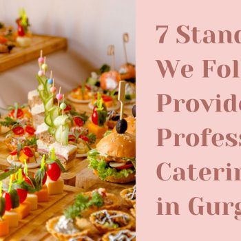 7 Standards That We Follow to Provide the Most Professional Catering Services in Gurgaon (1)