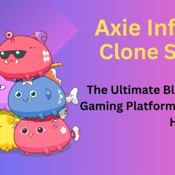 Axie Infinity Clone Script article