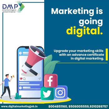 Best Digital Marketing Training Institute in Noida