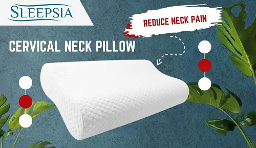 Cervical Pillow