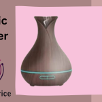 Electric Diffusers