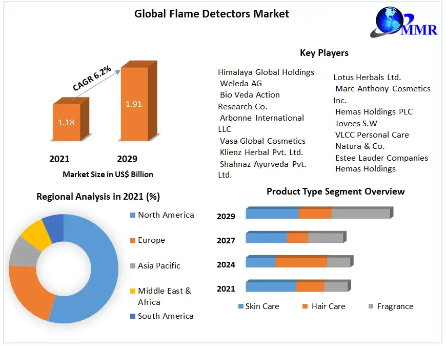 Global-Flame-Detectors-Market-2 (1)