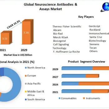 Global-Neuroscience-Antibodies-Assays-Market-4