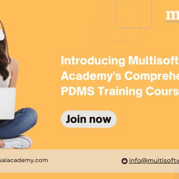 Introducing Multisoft Virtual Academy's Comprehensive PDMS Training Course