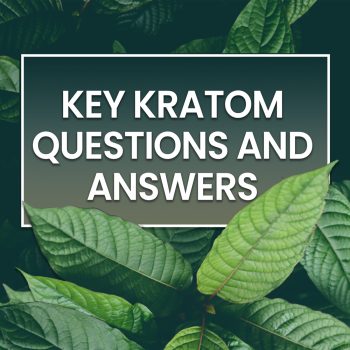 Key Kratom Questions and Answers