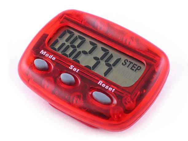 Pedometer Market (1)