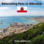 Relocating Pets to Gibraltar