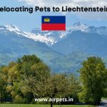 Relocating Pets to Liechtenstein - Copy
