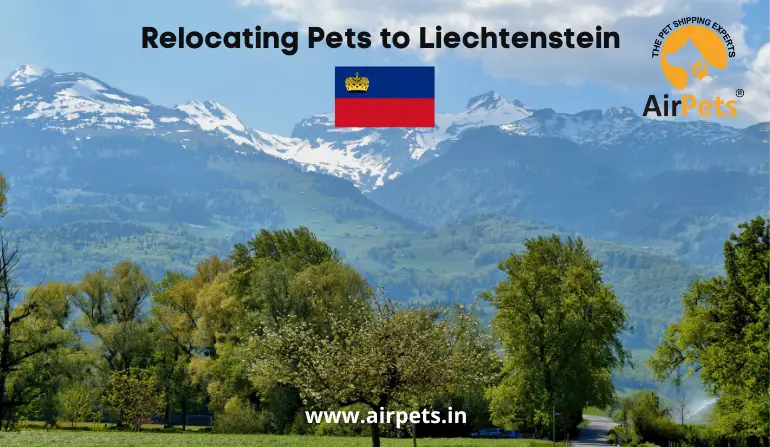 Relocating Pets to Liechtenstein - Copy