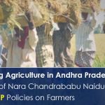 Revolutionizing Agriculture in Andhra Pradesh    The Impact of Nara Chandrababu Naidu's TDP Policies on Farmers