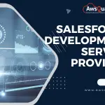 Salesforce Development Service Provider in the USA