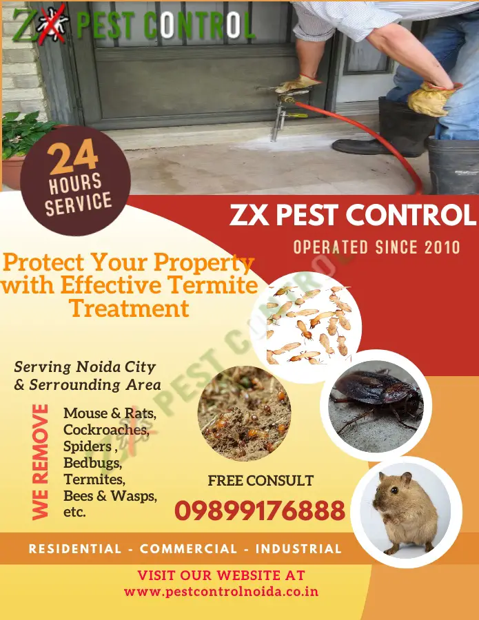 Termite Treatment in Noida