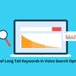 The Role of Long Tail Keywords in Voice Search Optimization