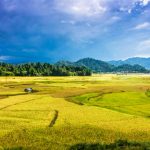 arunachal-package-tour-from-kolkata-with-ziro-valley