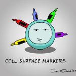 cell surface markers detection