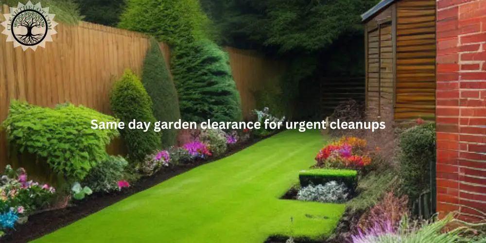garden Clearance