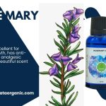 httpsanahataorganic.comproductrosemary-oil