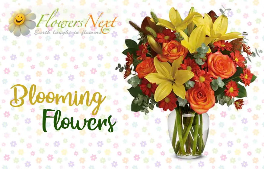 International Flower Delivery: How to Send Flowers to Korea