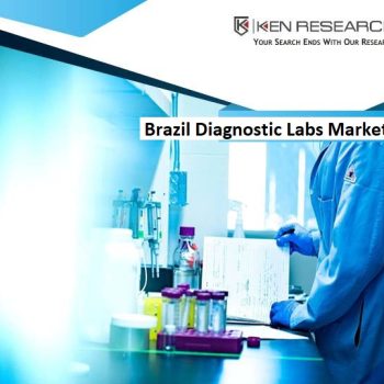 Brazil Testing Laboratories Market