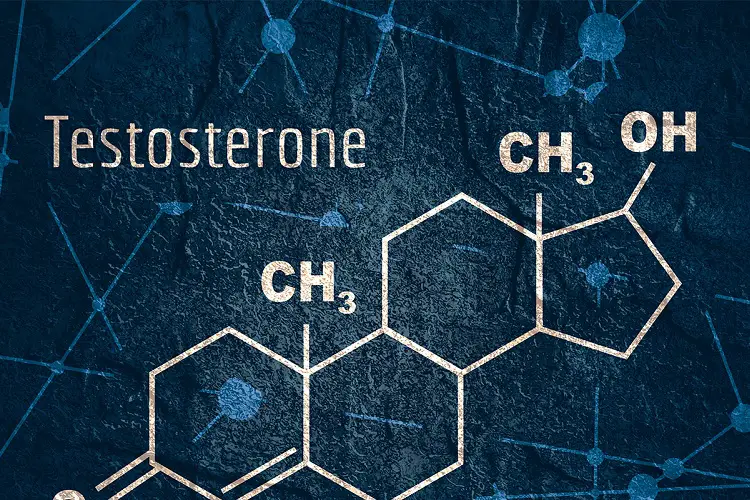 Buy Tri- Test Testosterone Blend – The King of All Testosterones